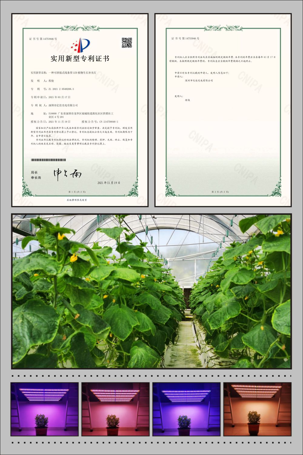 贝斯特植物农场灯实用新型专利
